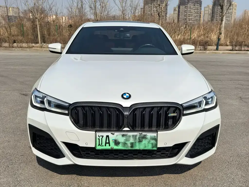 BMW 5 Series New Energy 2021 из CN, фото 3