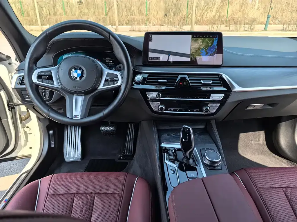 BMW 5 Series New Energy 2021 из CN, фото 9