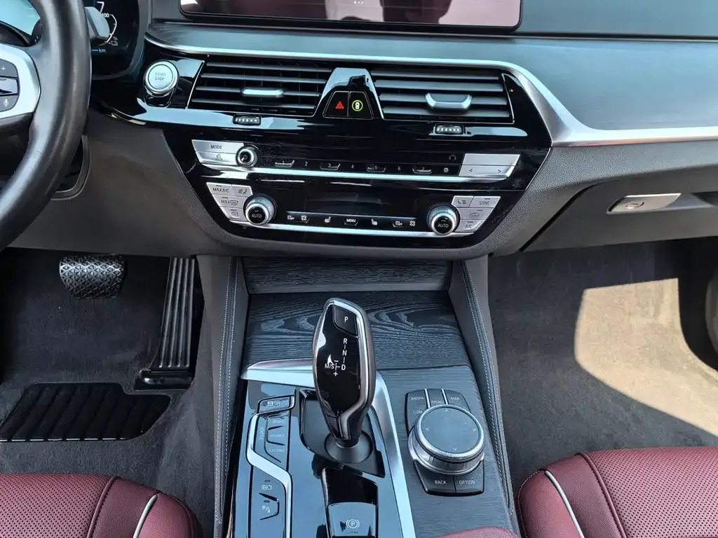 BMW 5 Series New Energy 2021 из CN, фото 10