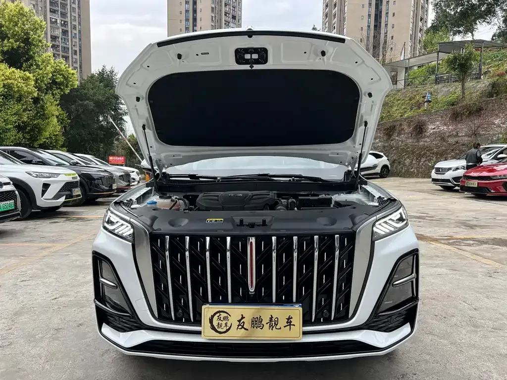 Hongqi HS5 2024 из CN, фото 4