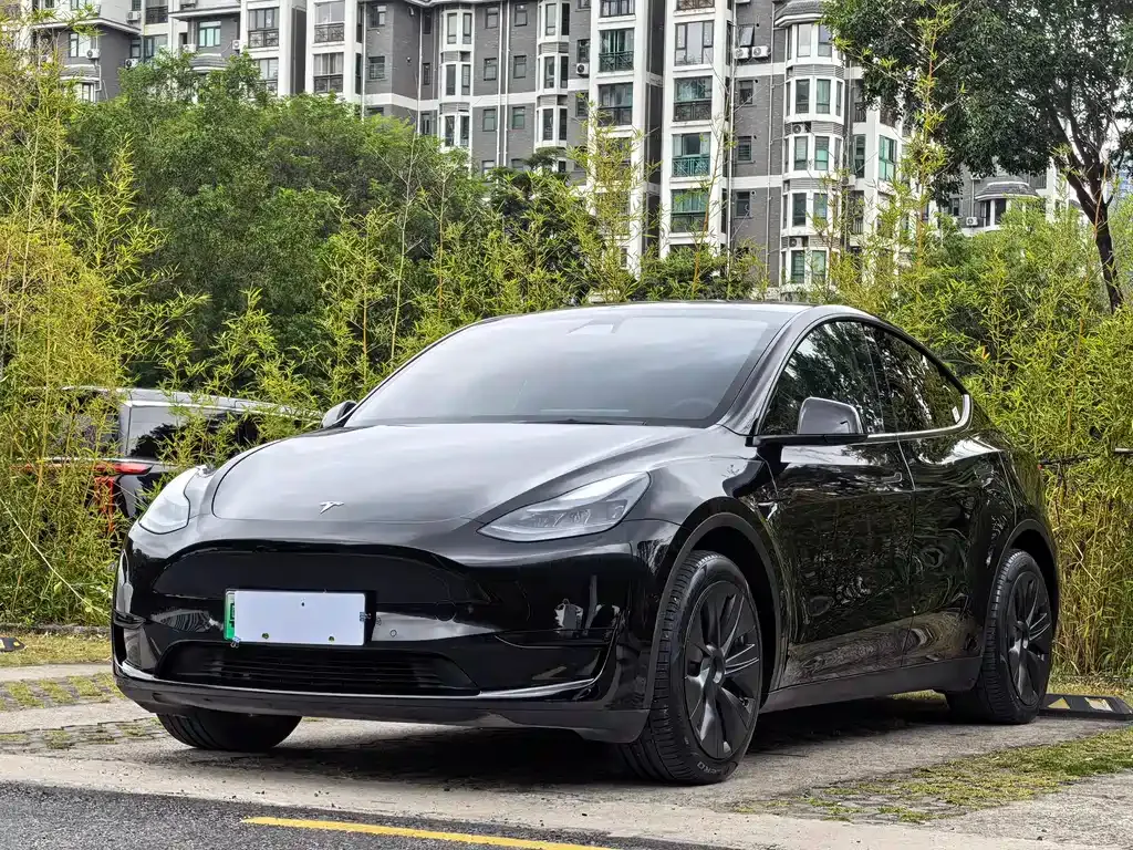 Tesla Model Y — фото 1