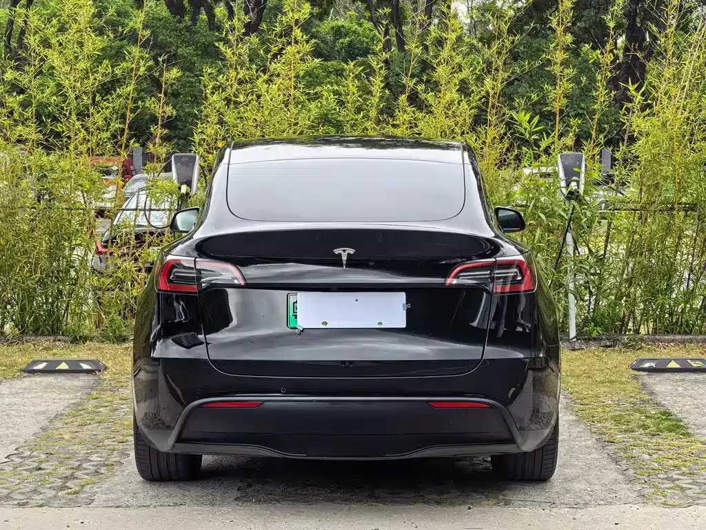 Tesla Model Y — фото 10