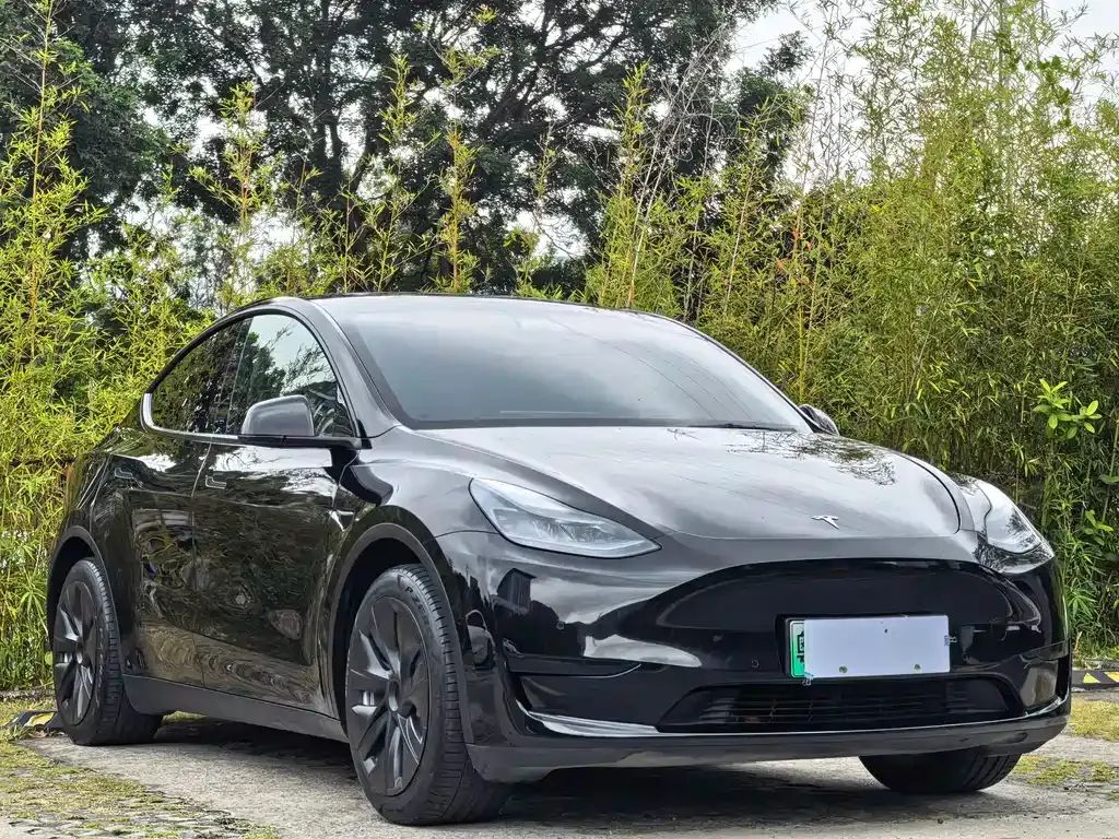 Tesla Model Y — фото 8