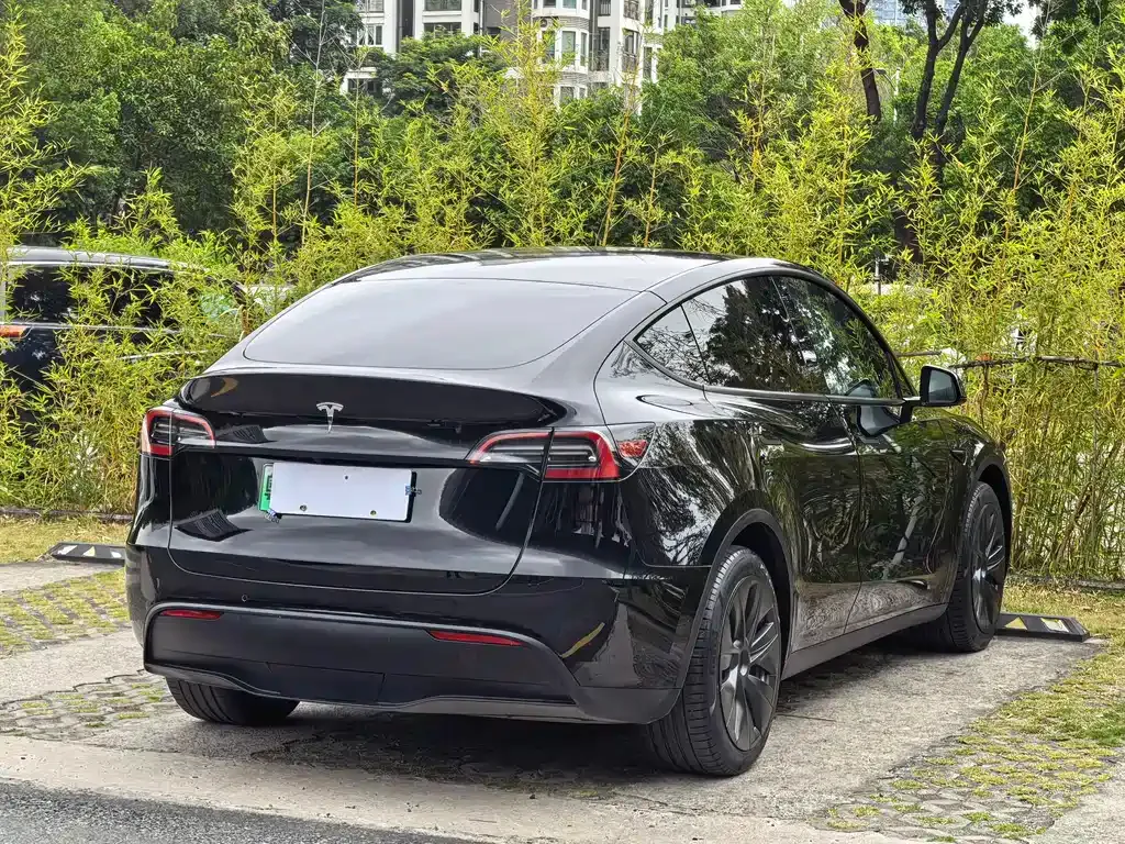Tesla Model Y — фото 5