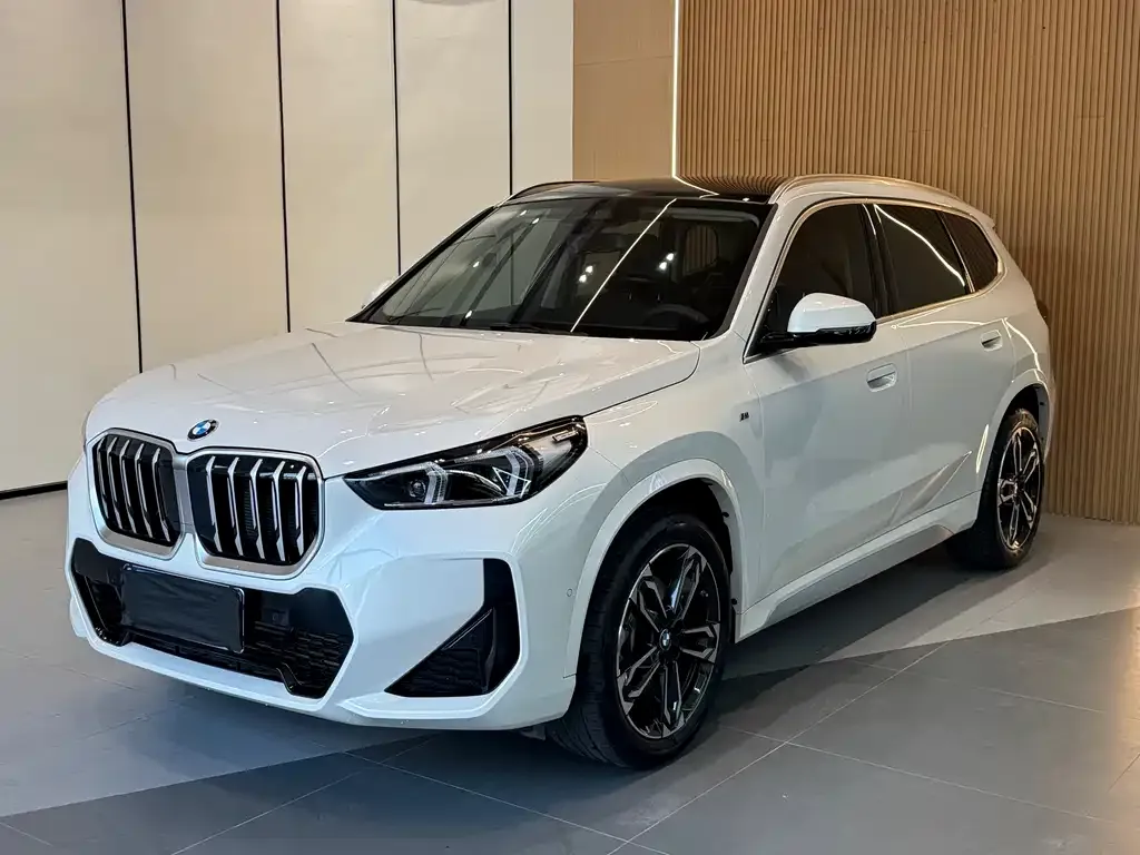 BMW X1 — фото 1