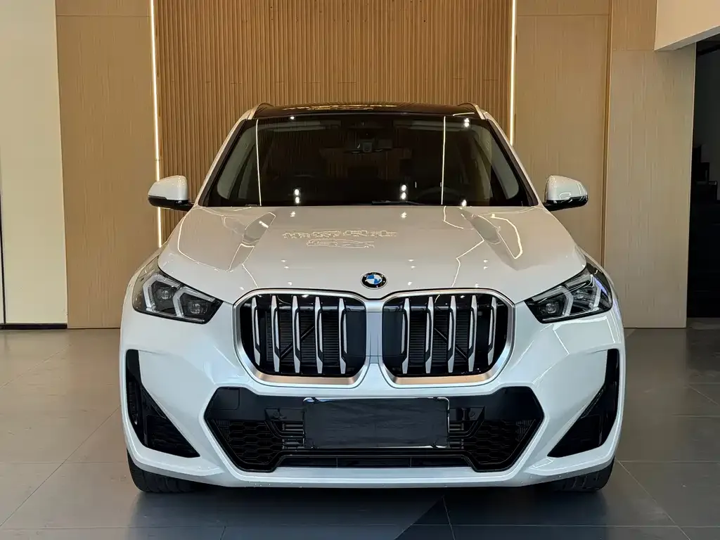 BMW X1 — фото 2
