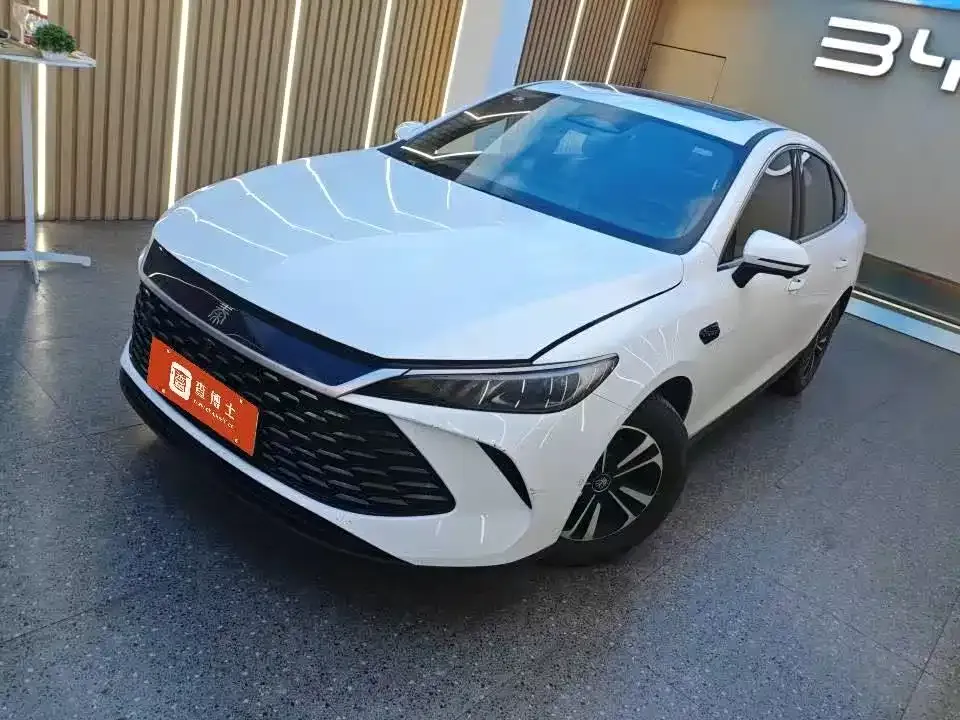 BYD Qin PLUS — фото 1