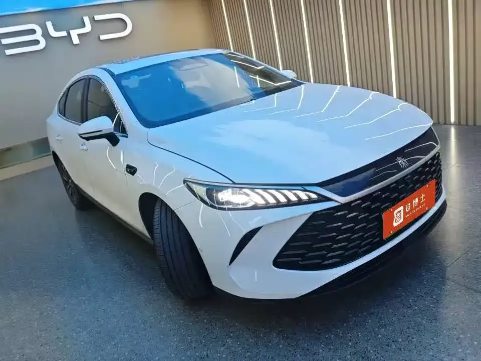 BYD Qin PLUS — фото 6