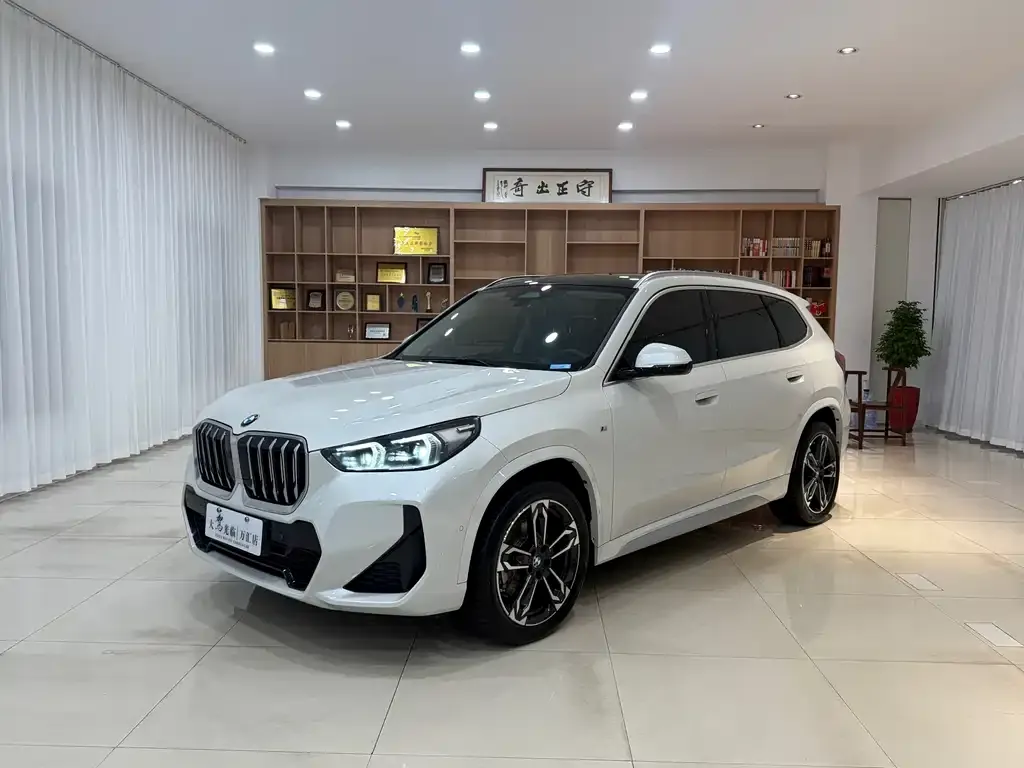BMW X1 — фото 1