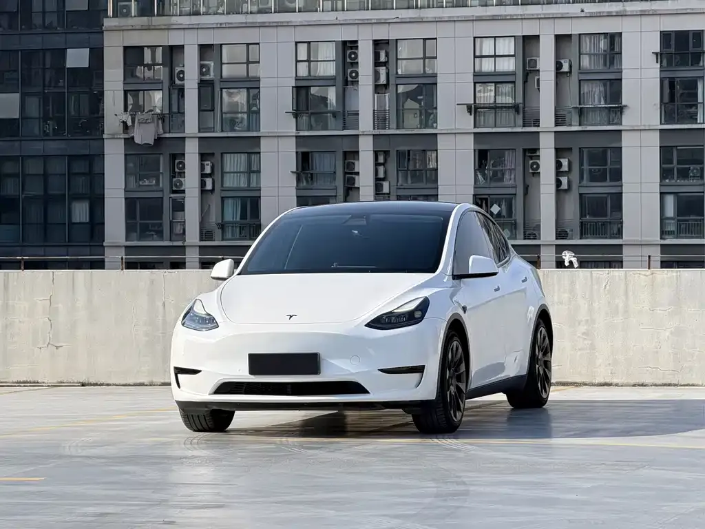 Tesla Model Y 2022 из CN, фото 1