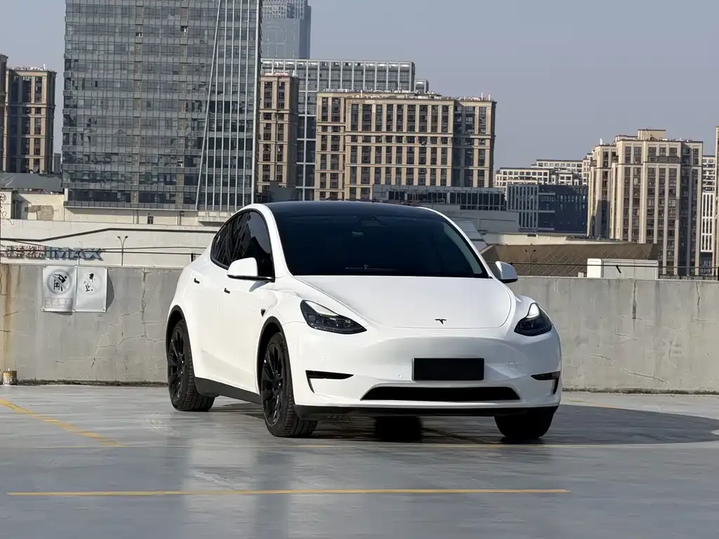Tesla Model Y 2022 из CN, фото 5