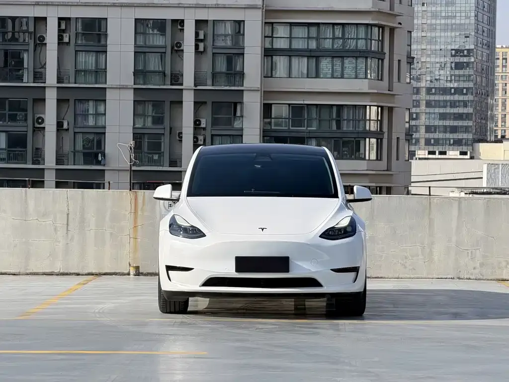 Tesla Model Y 2022 из CN, фото 4