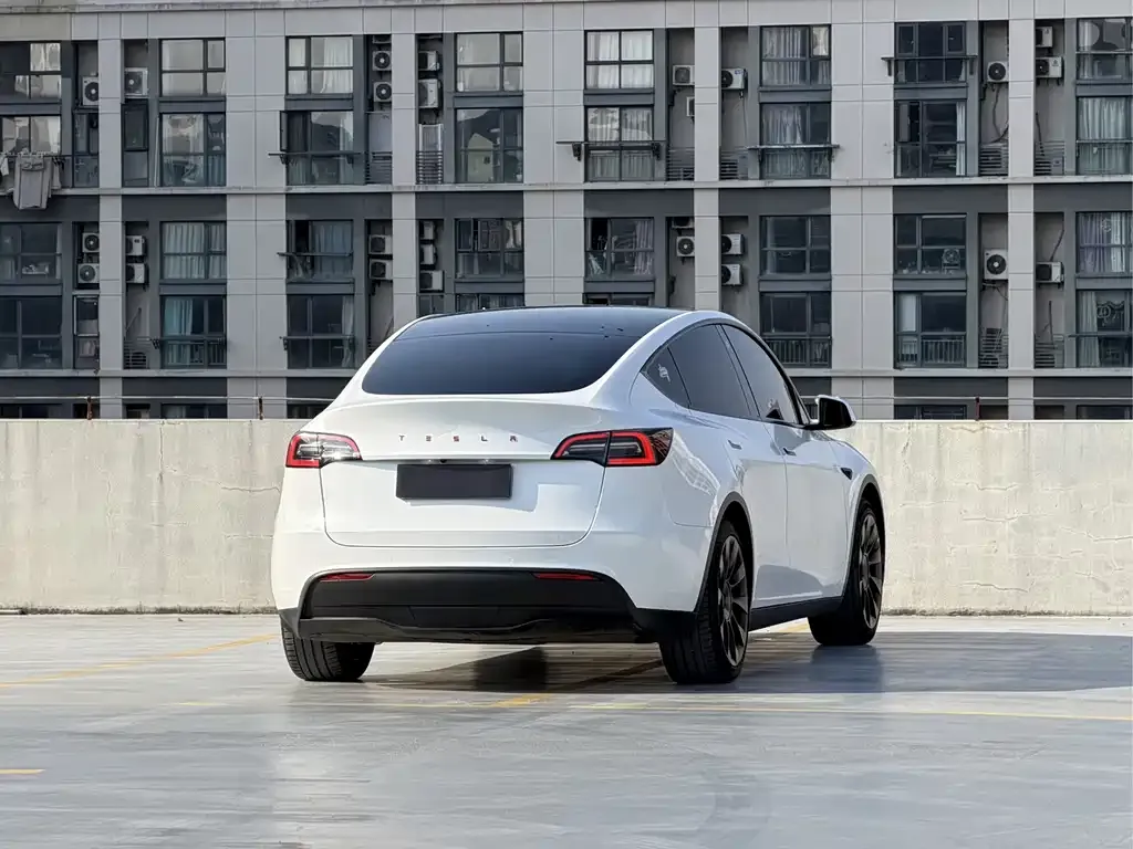 Tesla Model Y 2022 из CN, фото 7