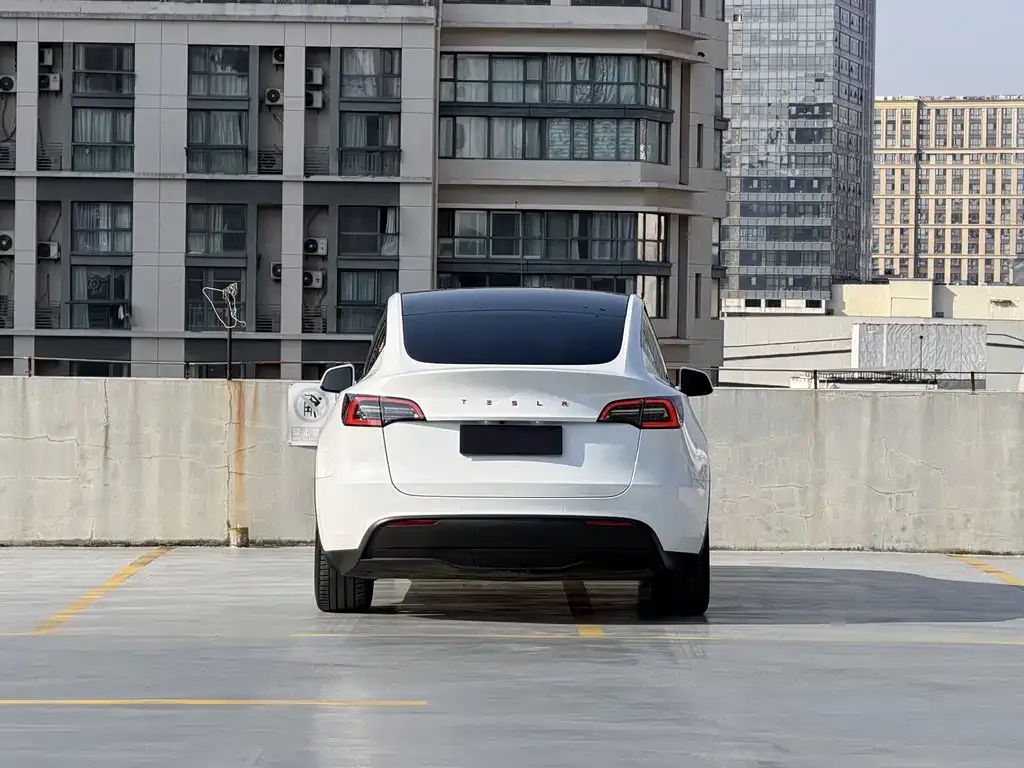 Tesla Model Y 2022 из CN, фото 10