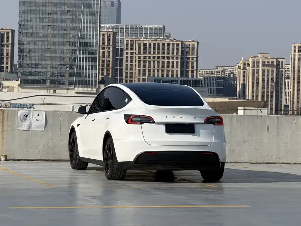 Tesla Model Y 2022 из CN, фото 8