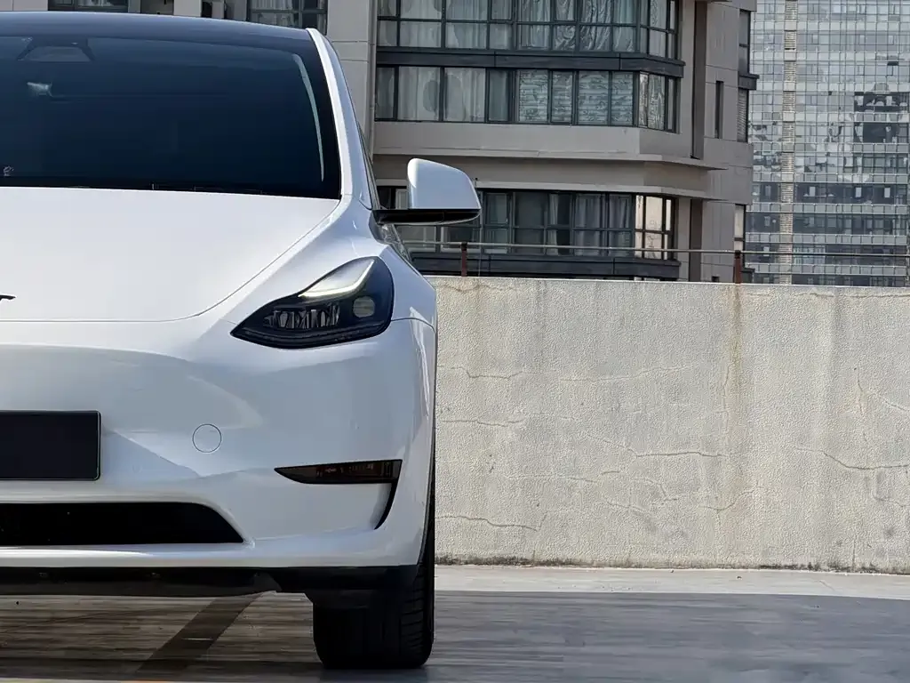 Tesla Model Y 2022 из CN, фото 6