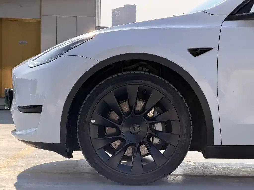 Tesla Model Y 2022 из CN, фото 2