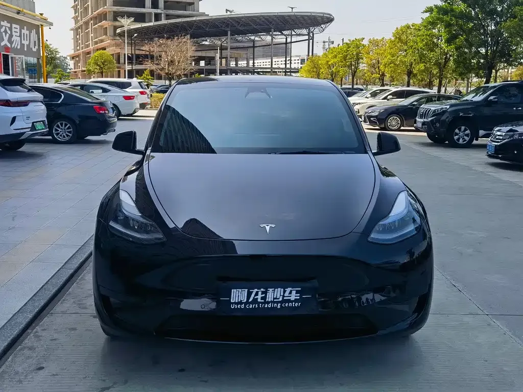 Tesla Model Y — фото 2