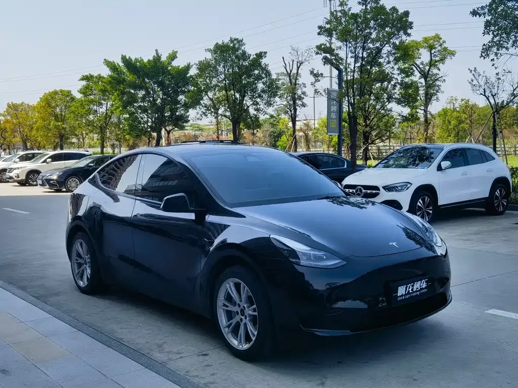 Tesla Model Y — фото 6