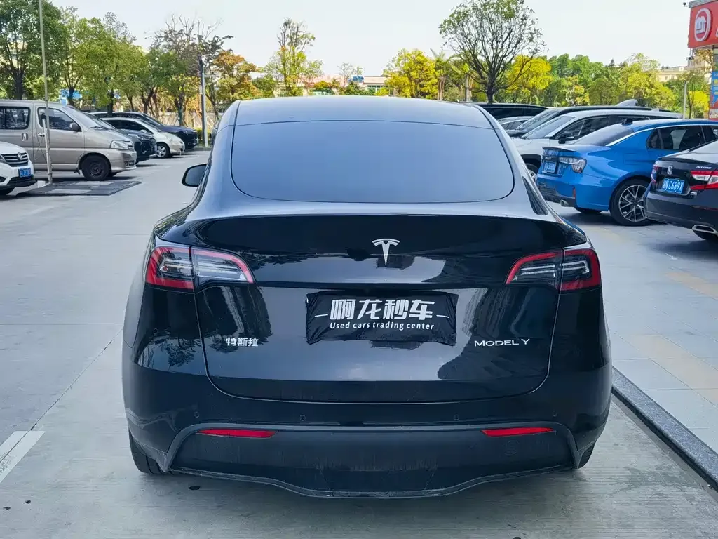 Tesla Model Y — фото 8