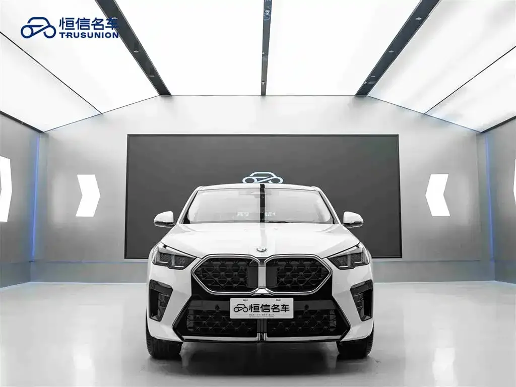 BMW X2 (Import) 2025 из CN, фото 9