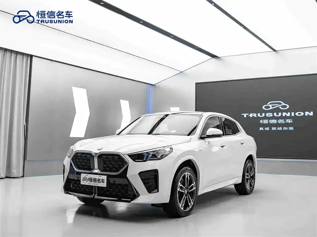 BMW X2 (Import) 2025 из CN, фото 8