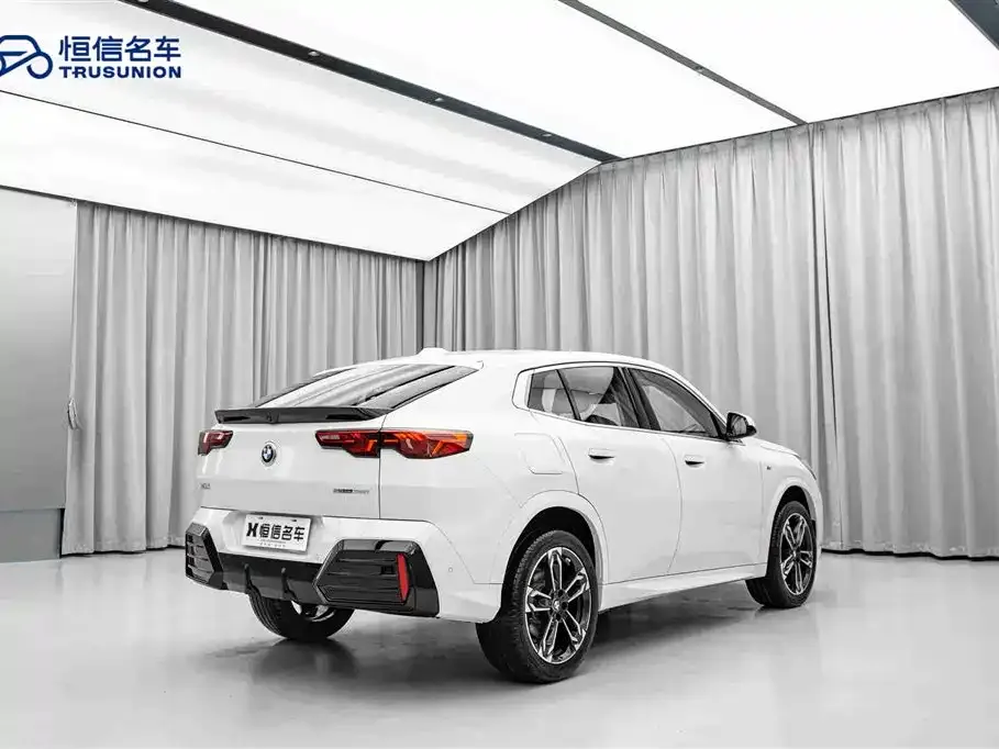 BMW X2 (Import) 2025 из CN, фото 7