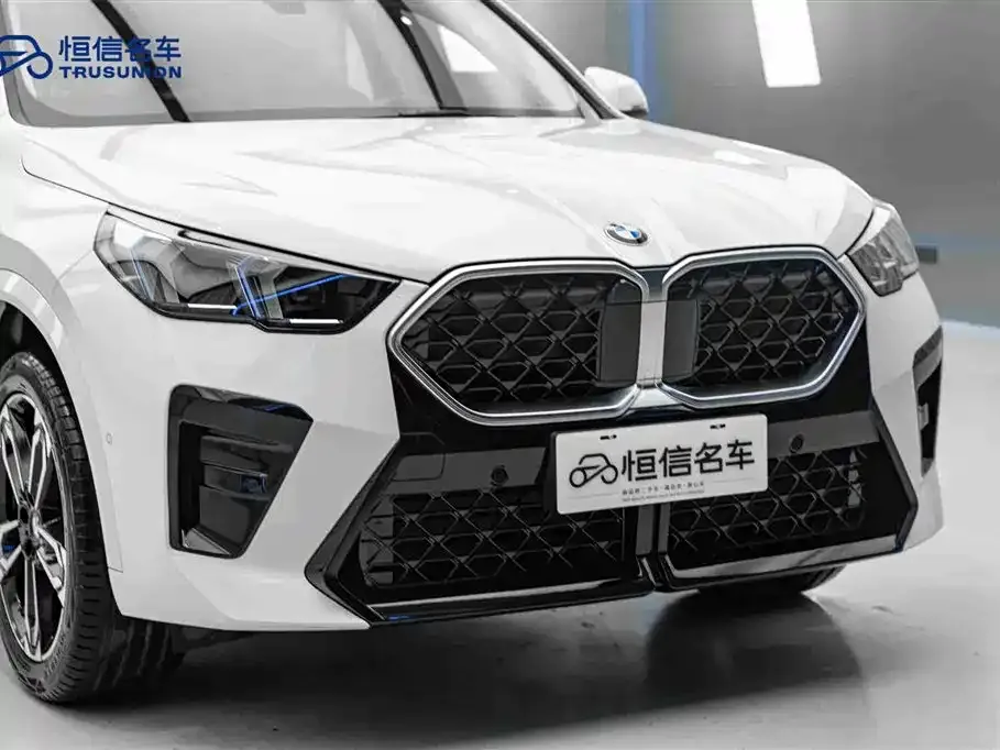BMW X2 (Import) 2025 из CN, фото 4