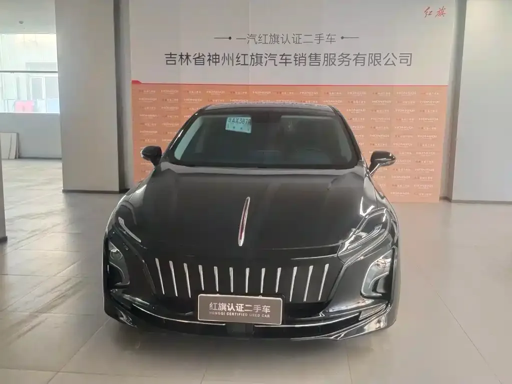 Hongqi E-QM5 — фото 5
