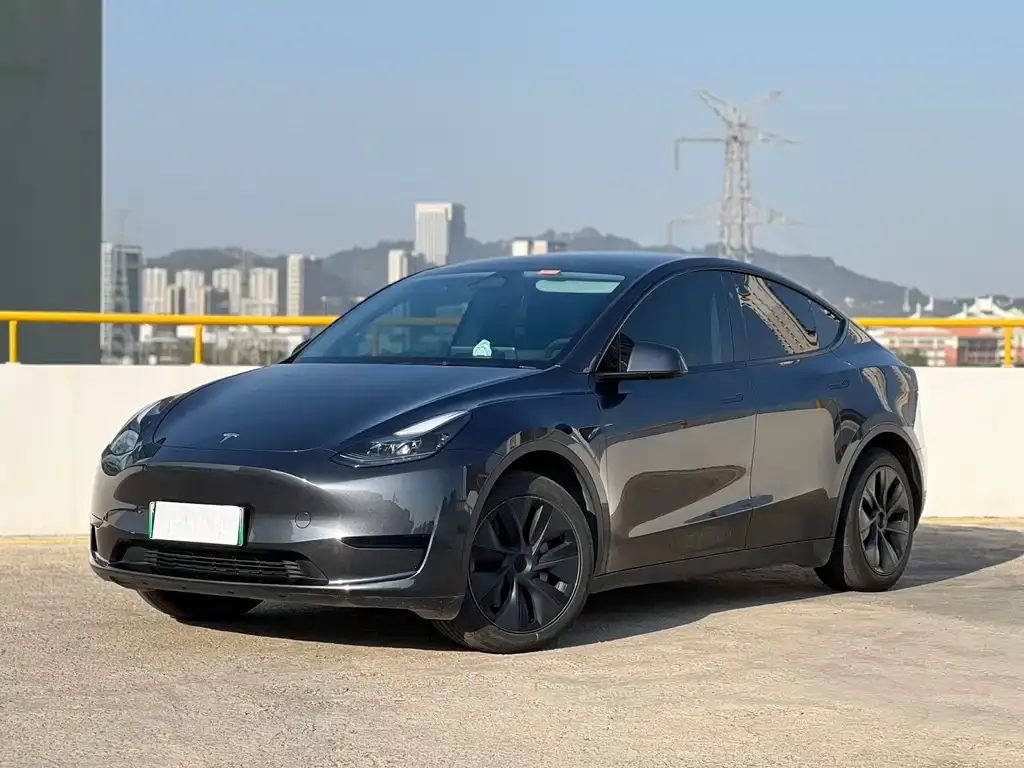 Tesla Model Y — фото 1