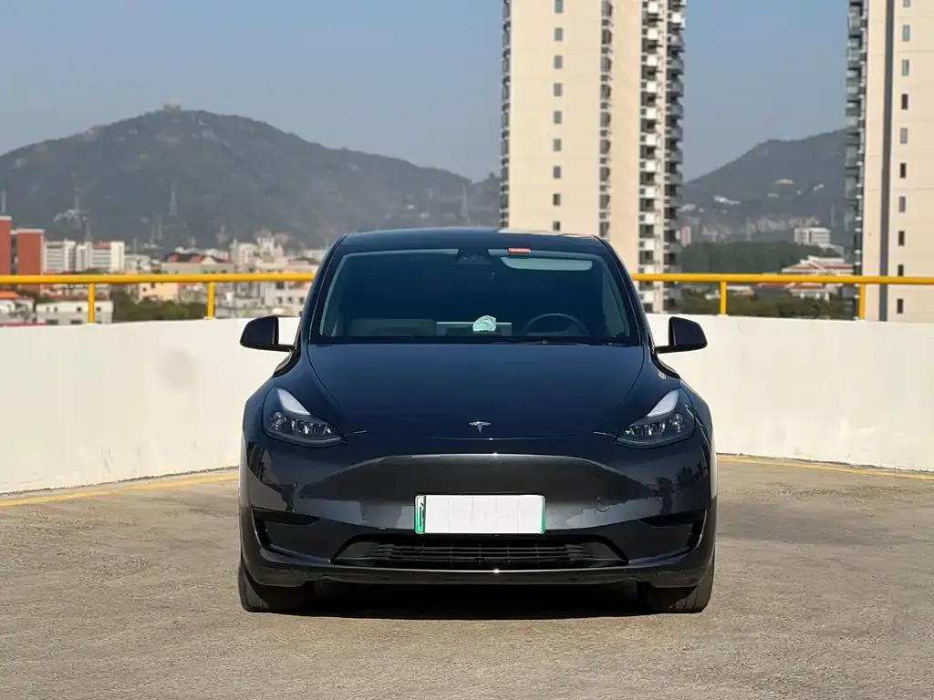 Tesla Model Y — фото 2