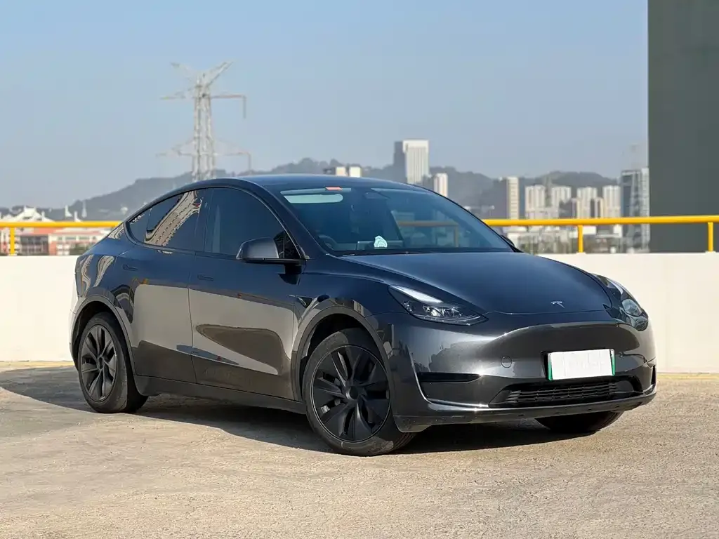 Tesla Model Y — фото 3