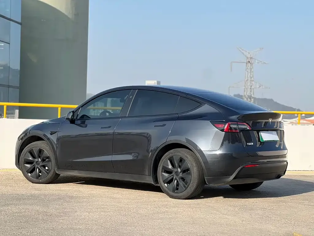 Tesla Model Y — фото 10