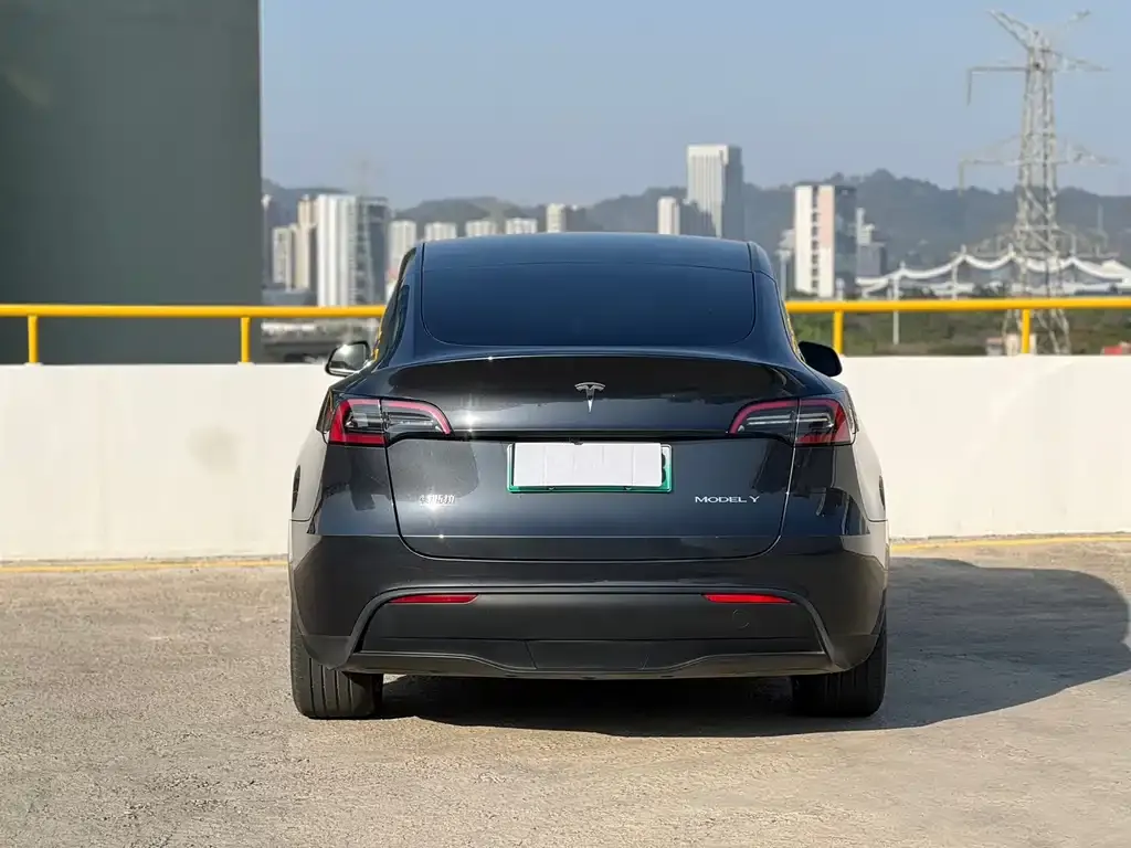 Tesla Model Y — фото 9