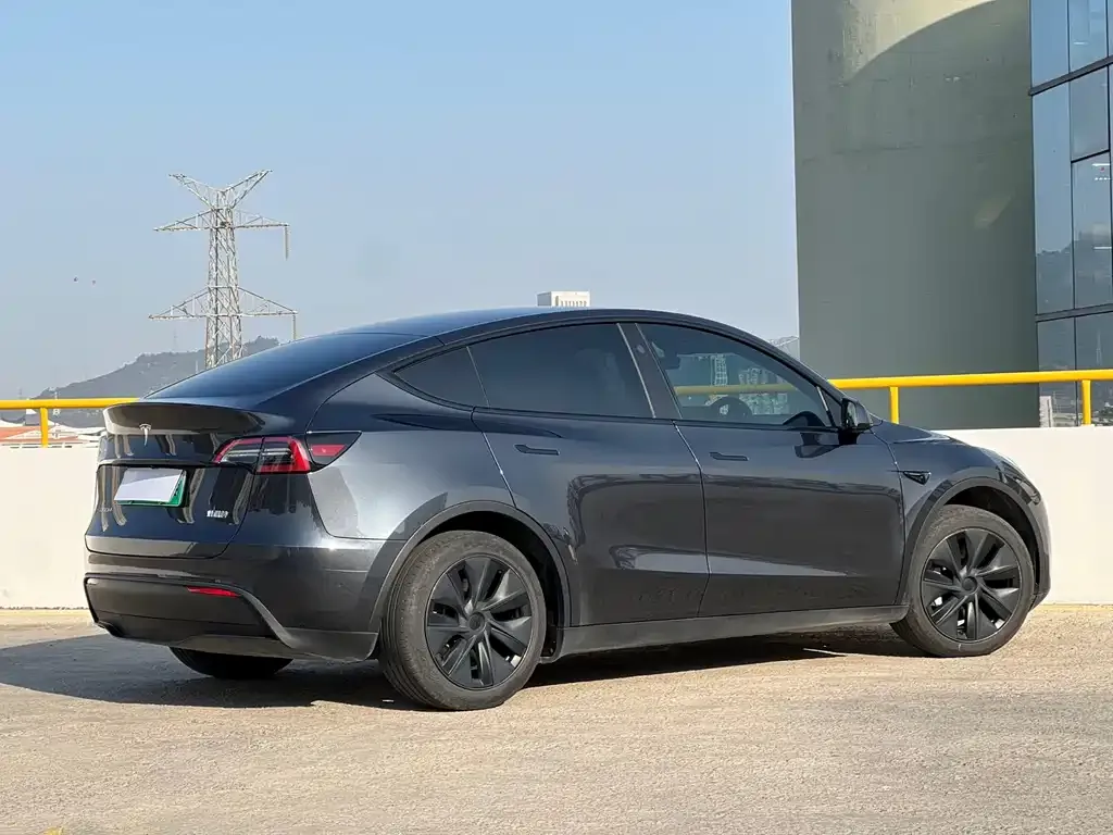 Tesla Model Y — фото 8