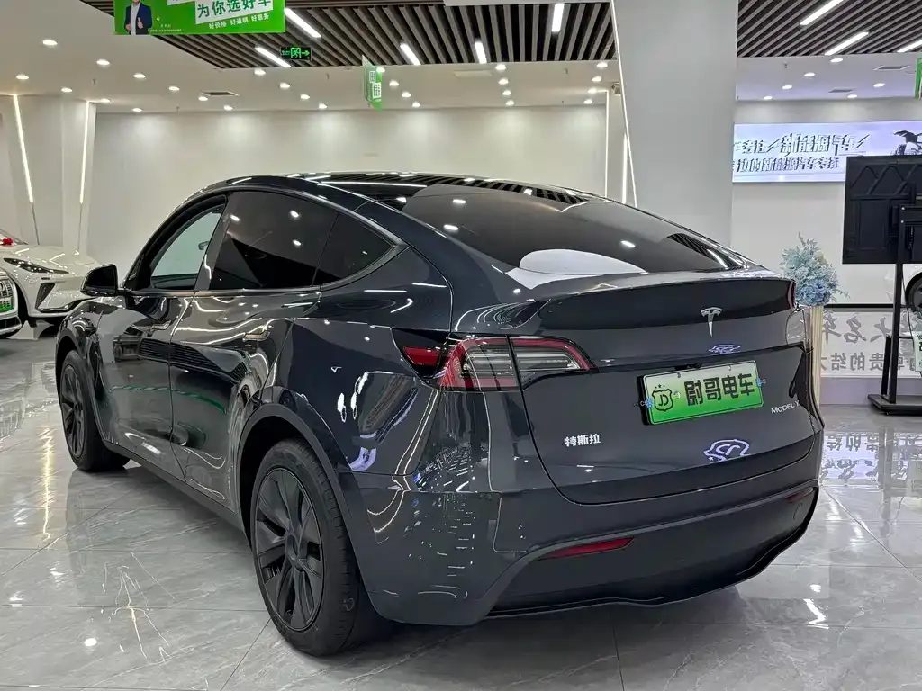 Tesla Model Y 2024 из CN, фото 6