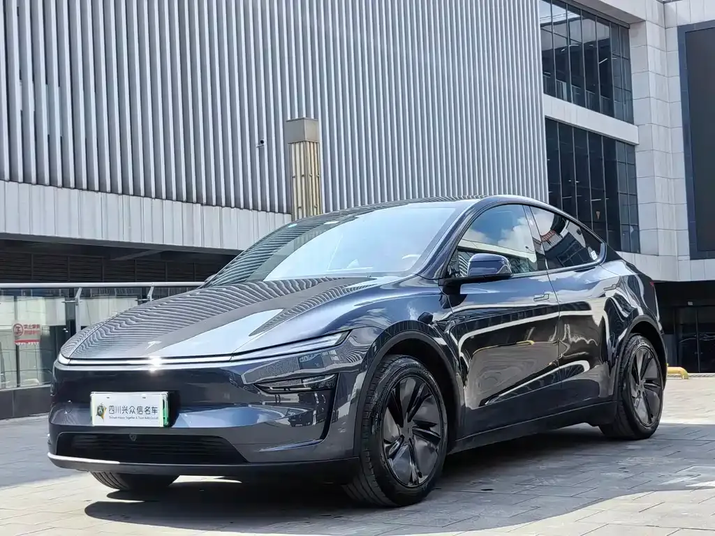 Tesla Model Y — фото 6