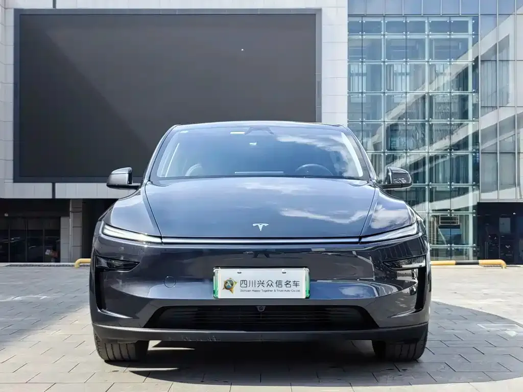Tesla Model Y — фото 2