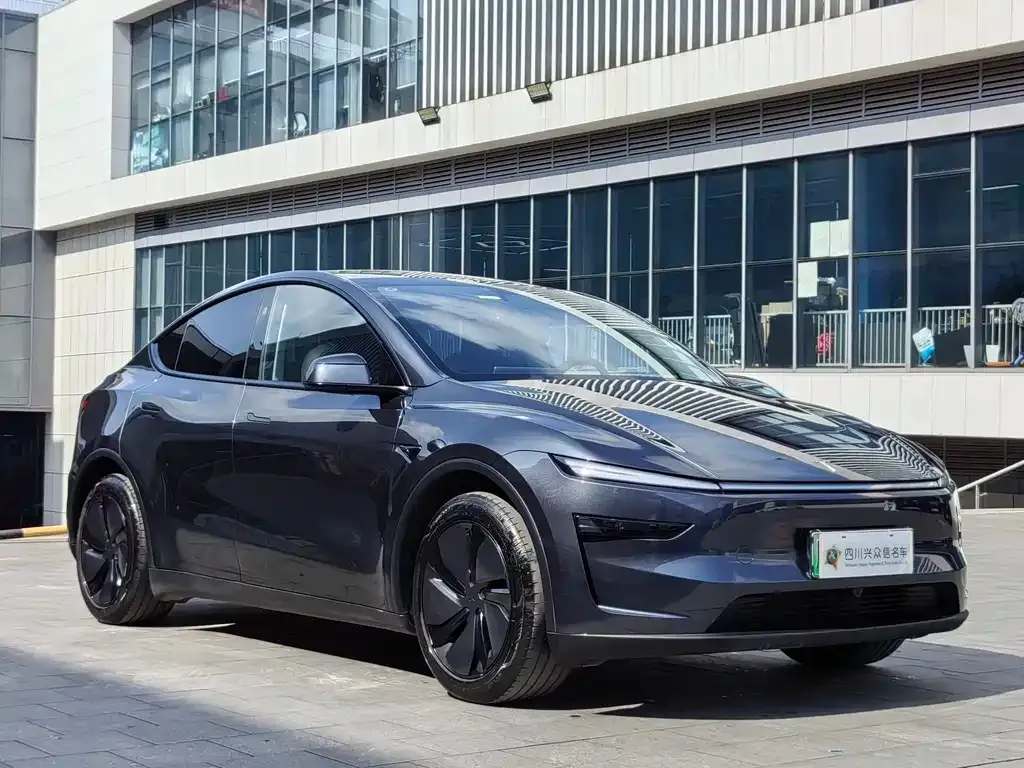 Tesla Model Y — фото 3