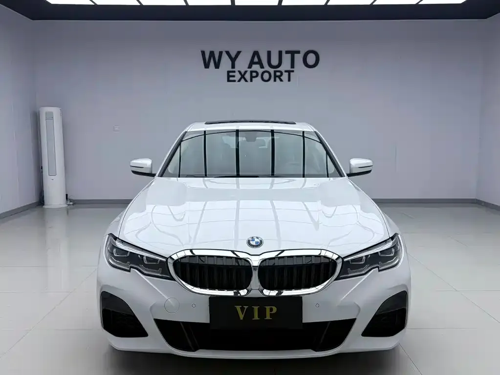 BMW 3 Series 2022 из CN, фото 6