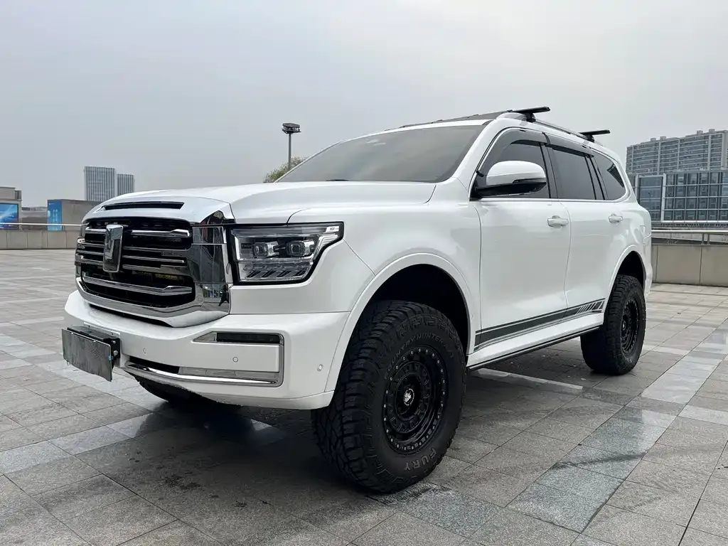 Tank 500 New Energy 2025 из CN, фото 1