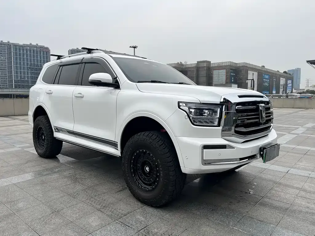 Tank 500 New Energy 2025 из CN, фото 6