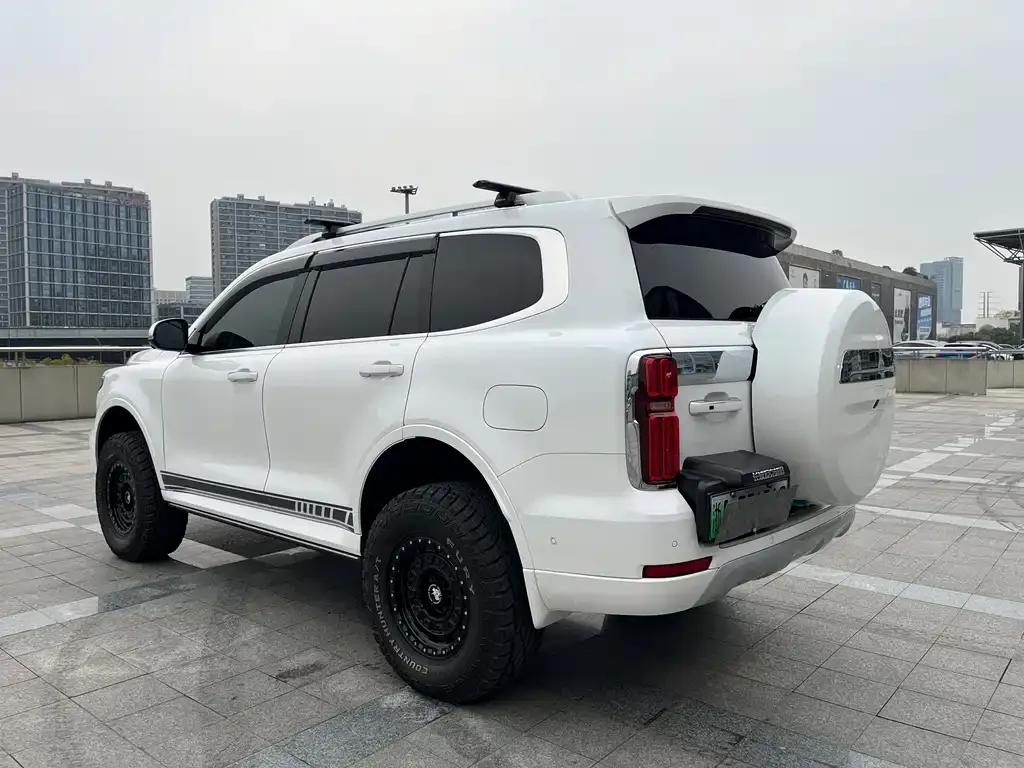 Tank 500 New Energy 2025 из CN, фото 3