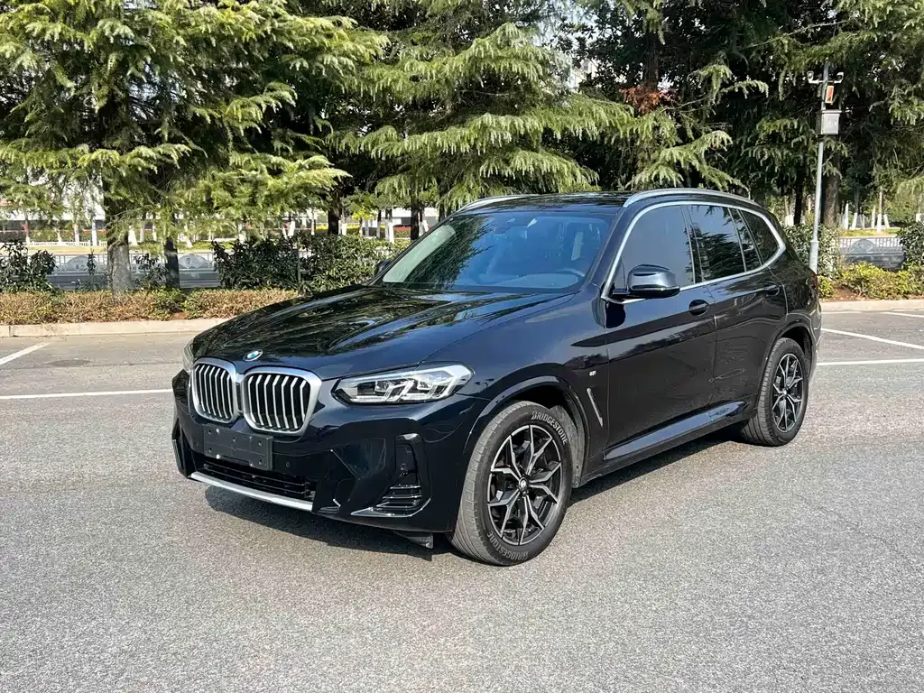 BMW X3 — фото 1