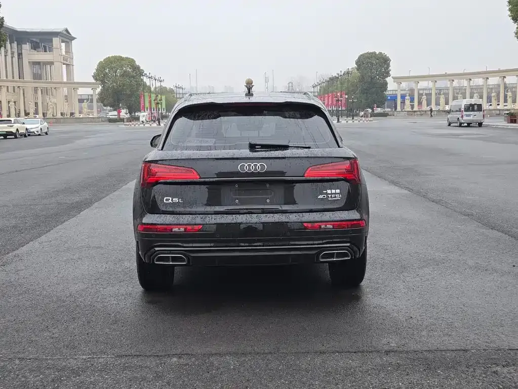 Audi Q5L 2024 из CN, фото 8