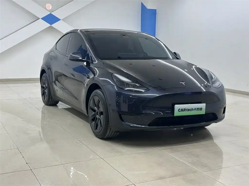 Tesla Model Y — фото 2