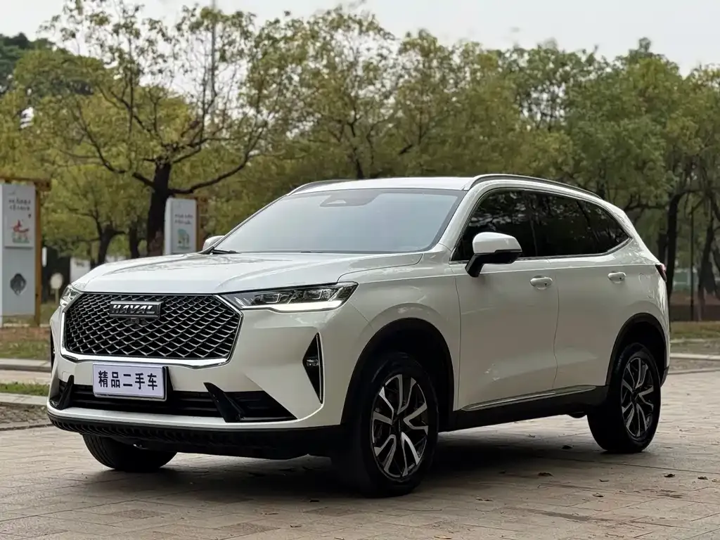 Haval H6 — фото 9