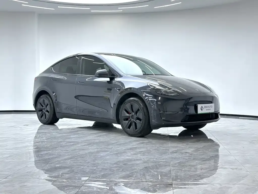 Tesla Model Y 2024 из CN, фото 10