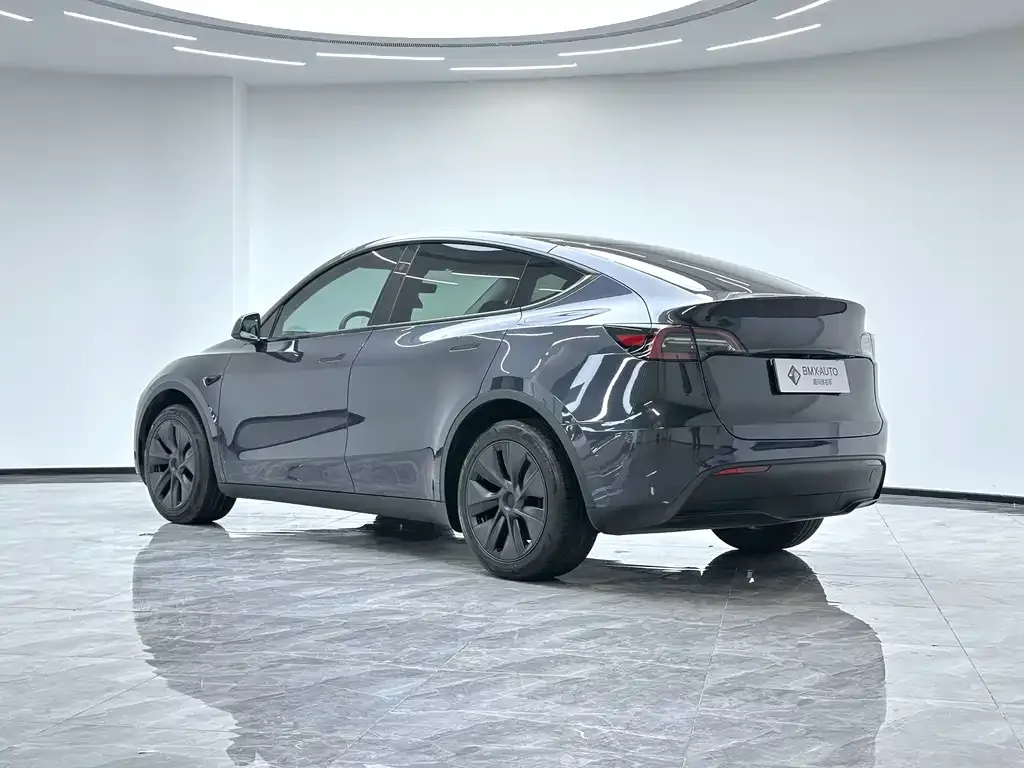 Tesla Model Y 2024 из CN, фото 7
