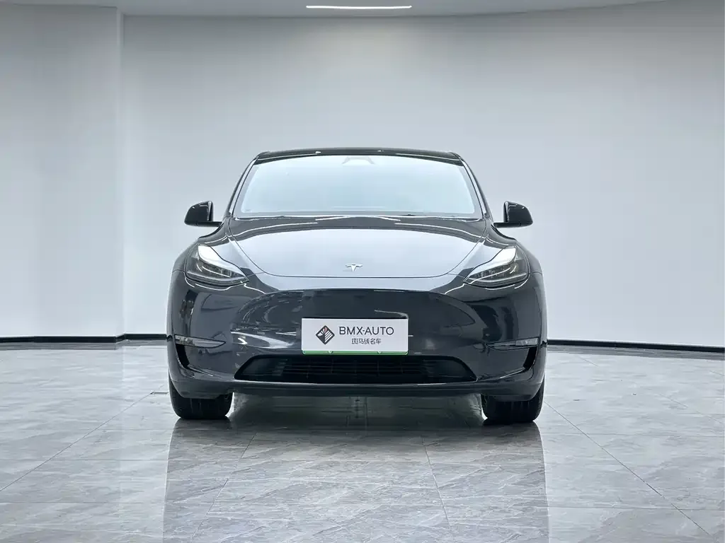 Tesla Model Y 2024 из CN, фото 2
